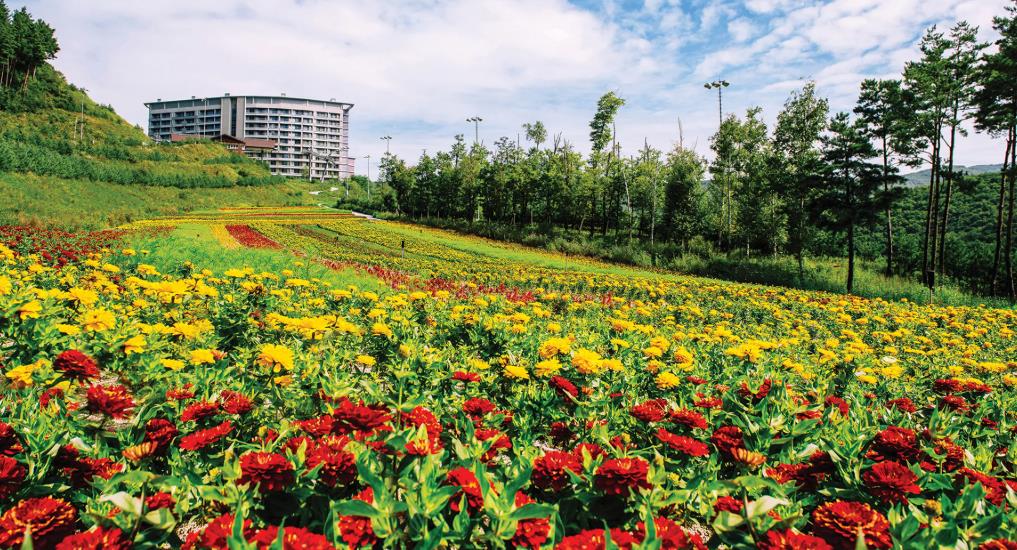 하이원리조트 마운틴콘도 이미지 7