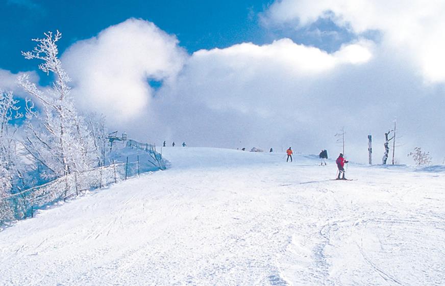 무주 덕유산 리조트 이미지 6