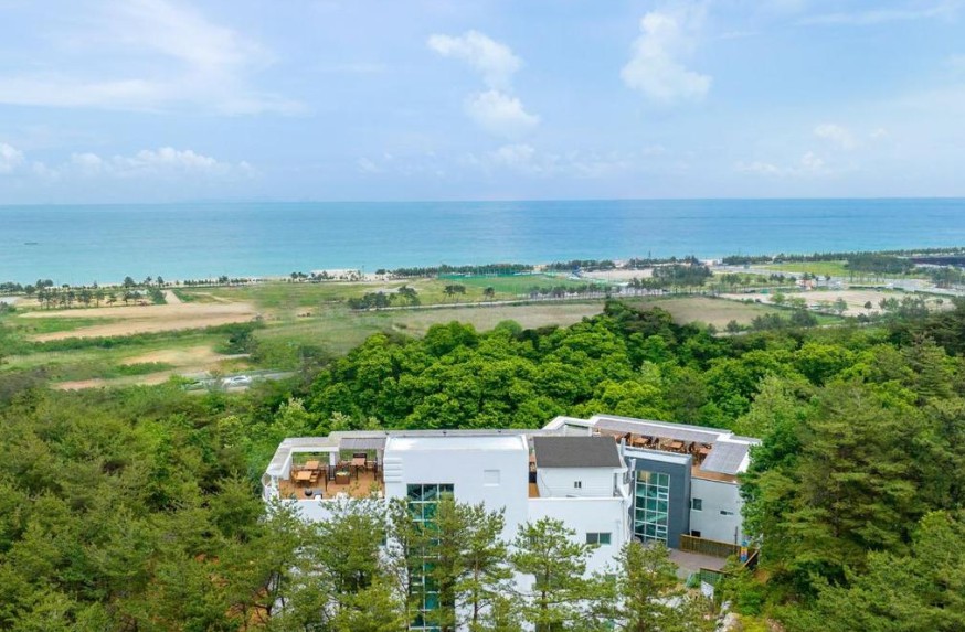양양 지오 파인트리 펜션 이미지 1