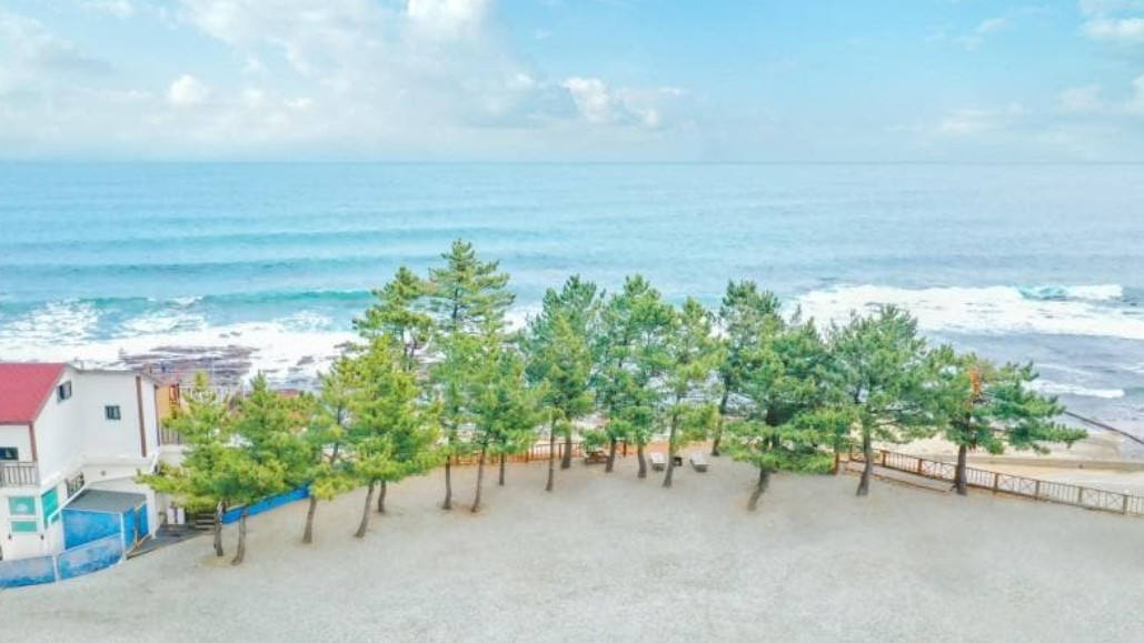 영덕 오션뷰펜션민박 이미지 2