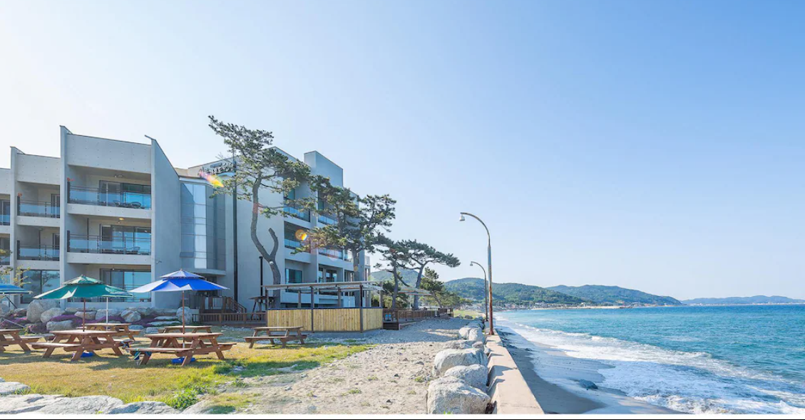 영덕 비프리비 펜션 이미지 1