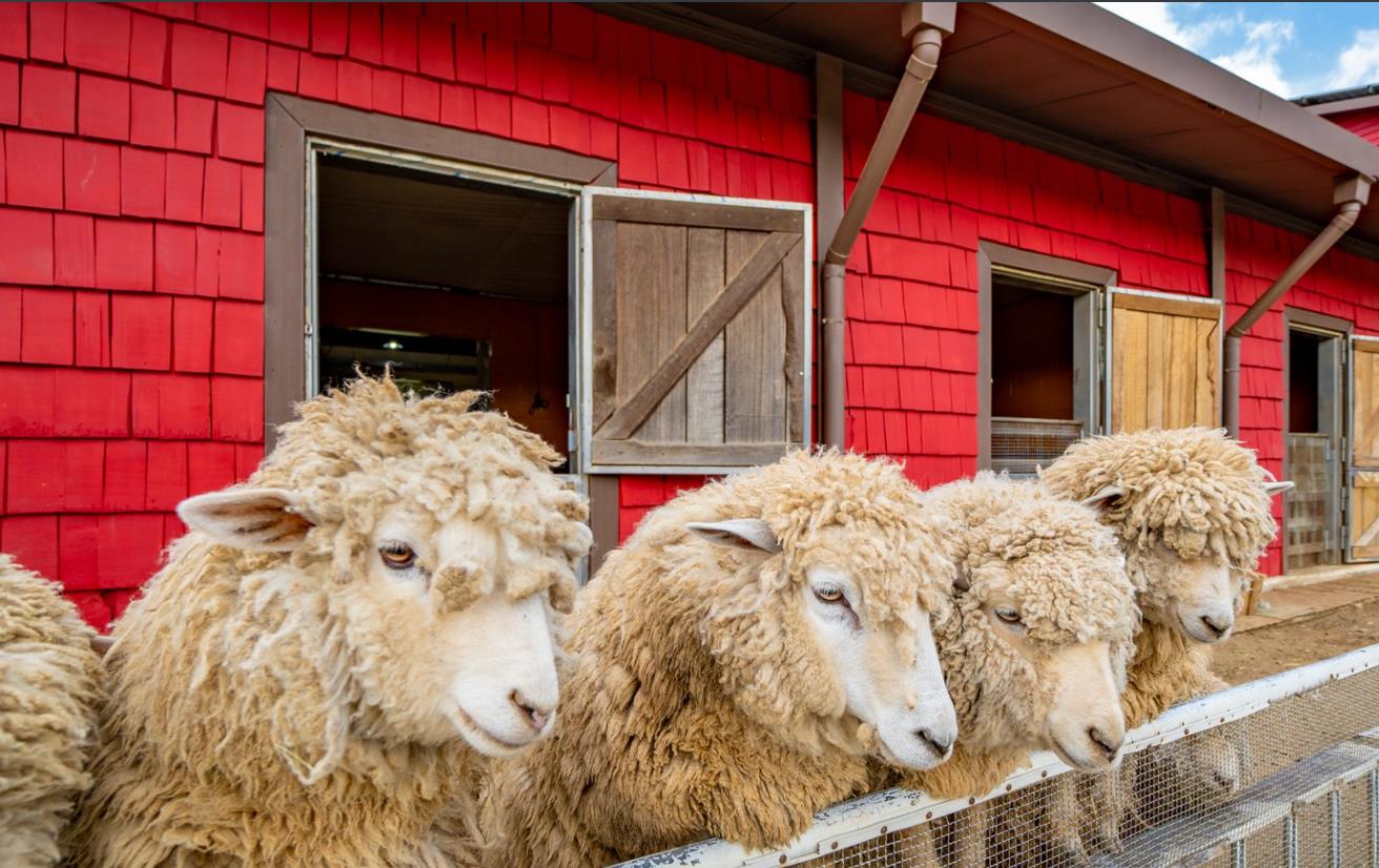 포천 서운동산 이미지 10