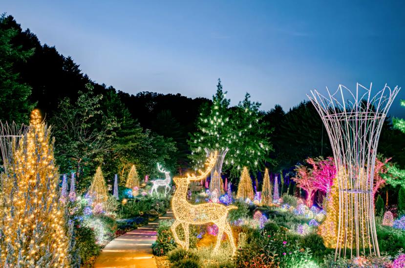 가평 더스테이 힐링파크 이미지 2