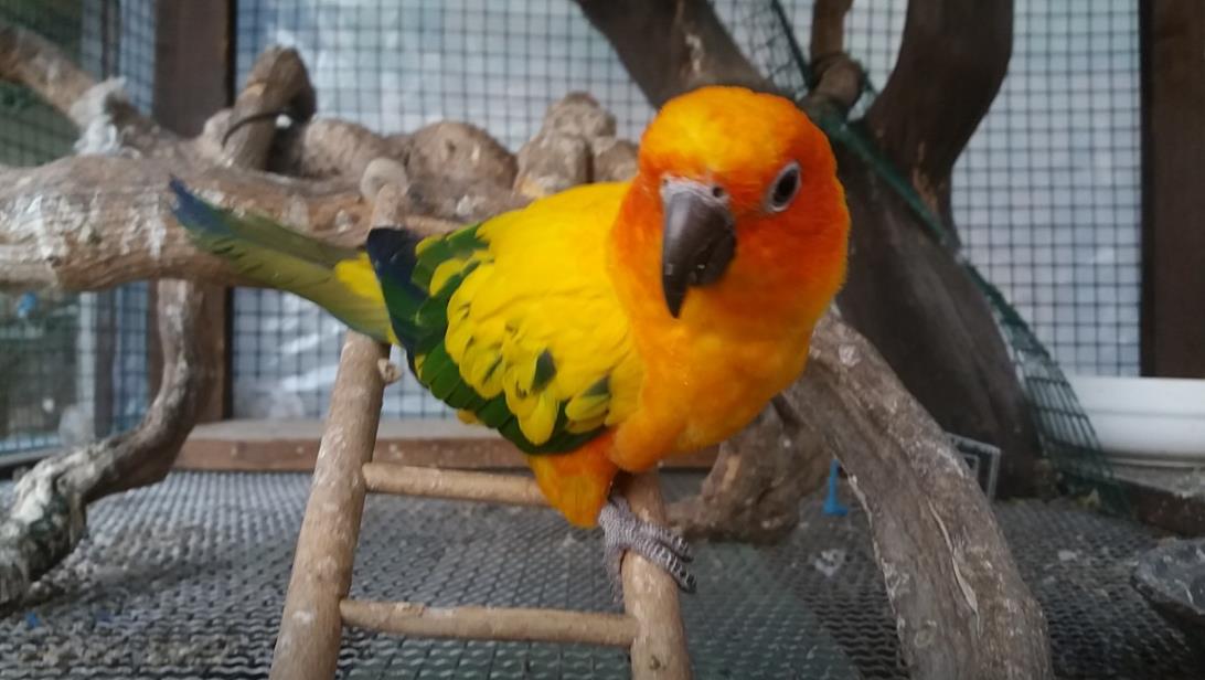 홍천 색채의숲 펜션 이미지 7