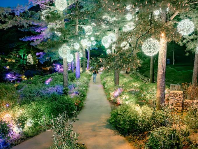 가평 더스테이 힐링파크 이미지 9