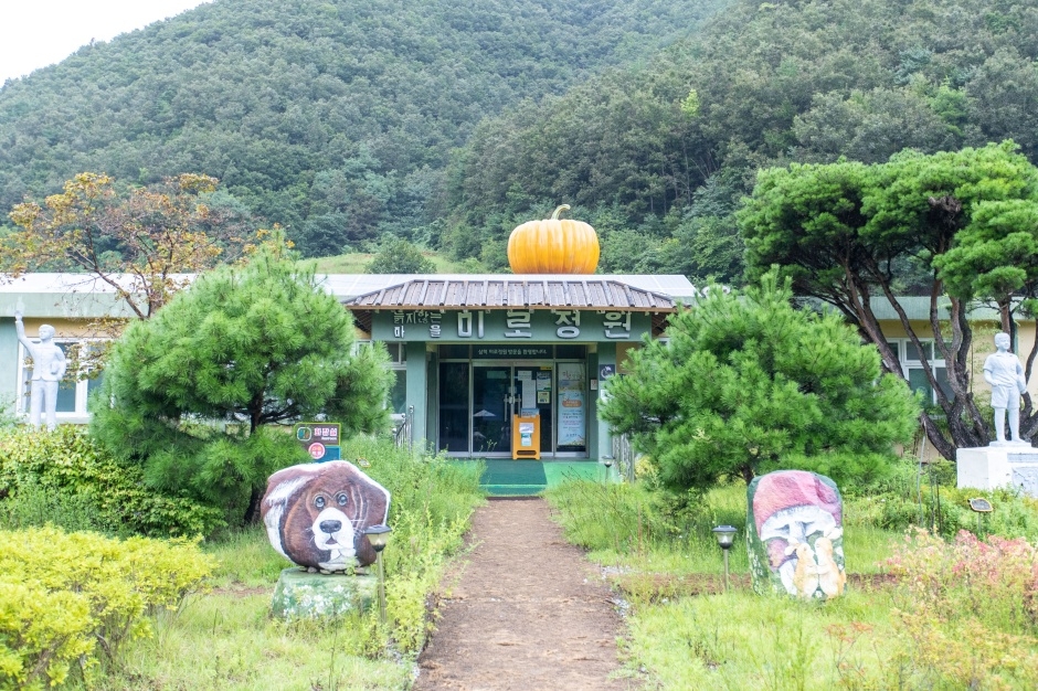 삼척 미로정원 이미지 8