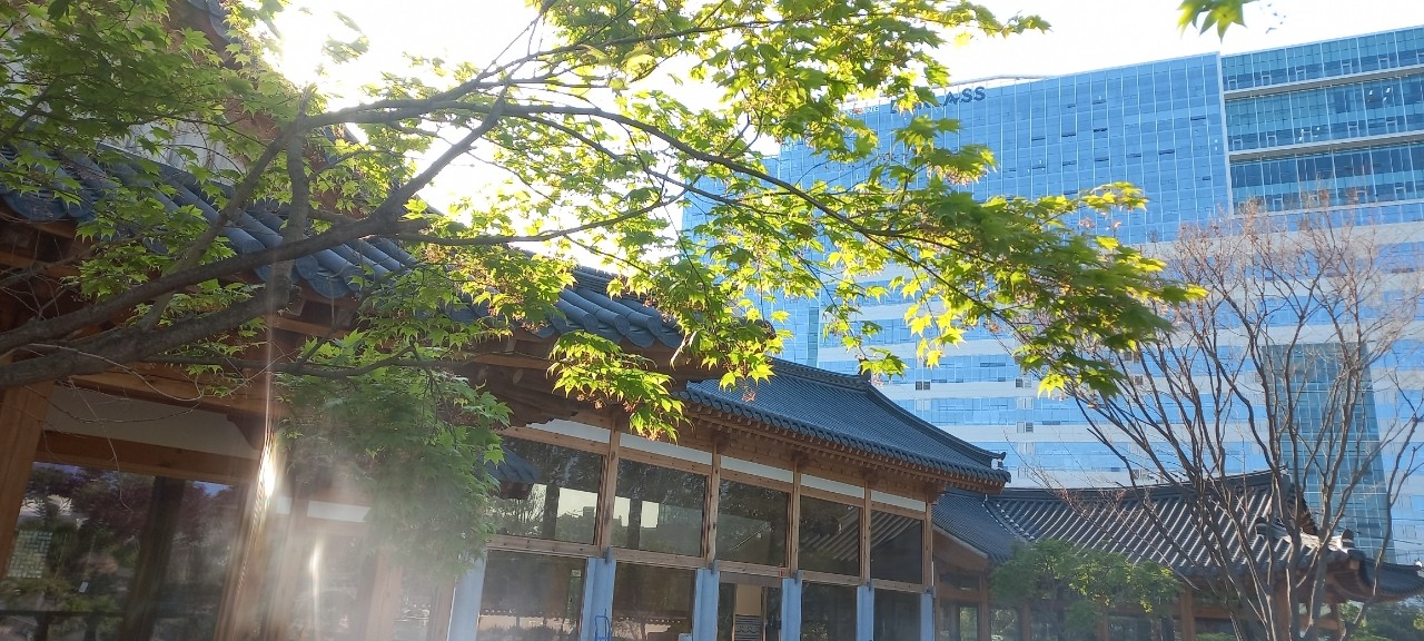 푸른 한옥 이미지 3