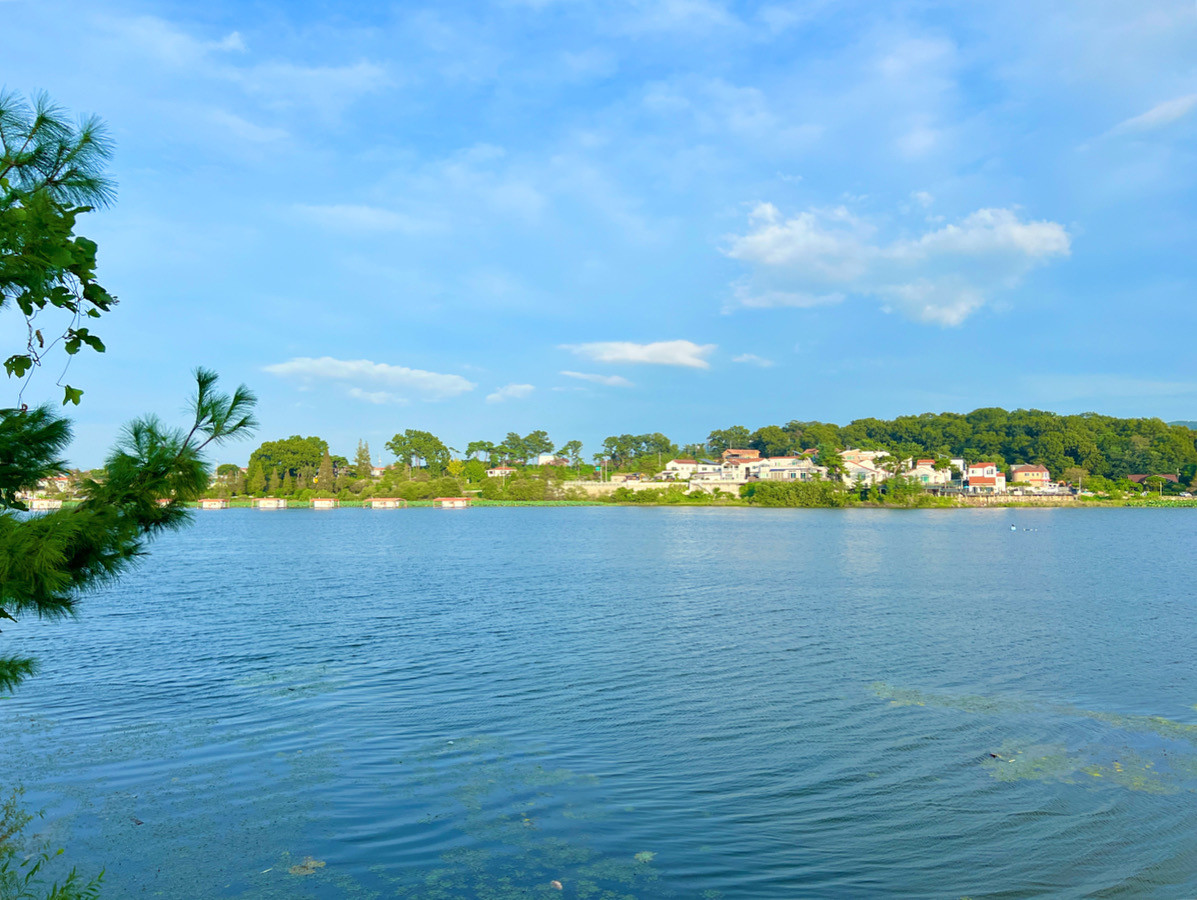 가든블룸 이미지 3