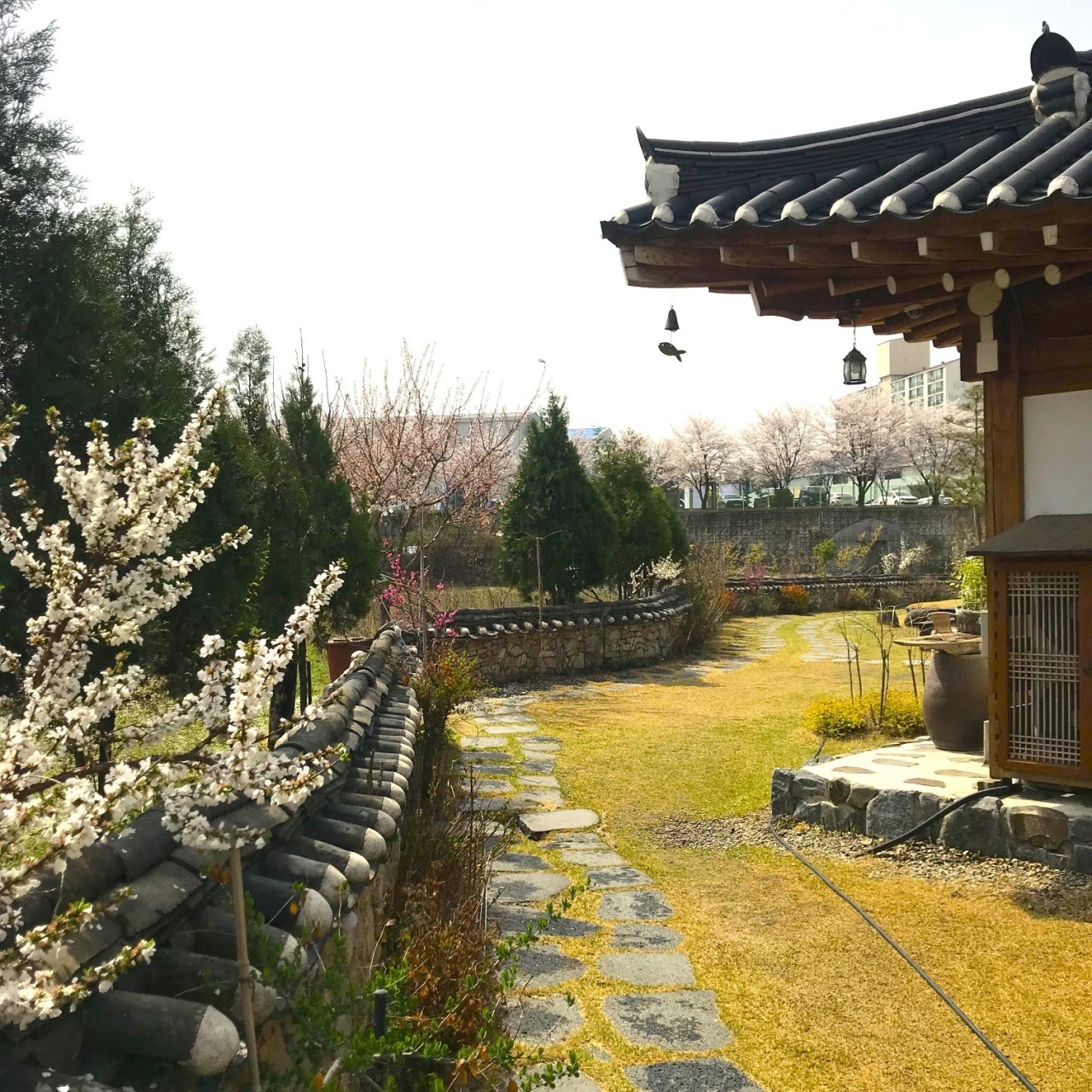 희원 이미지 6