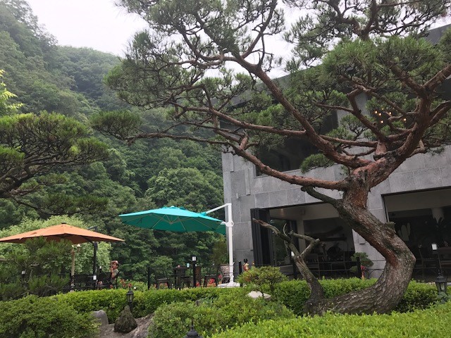 내추럴가든529 이미지 8