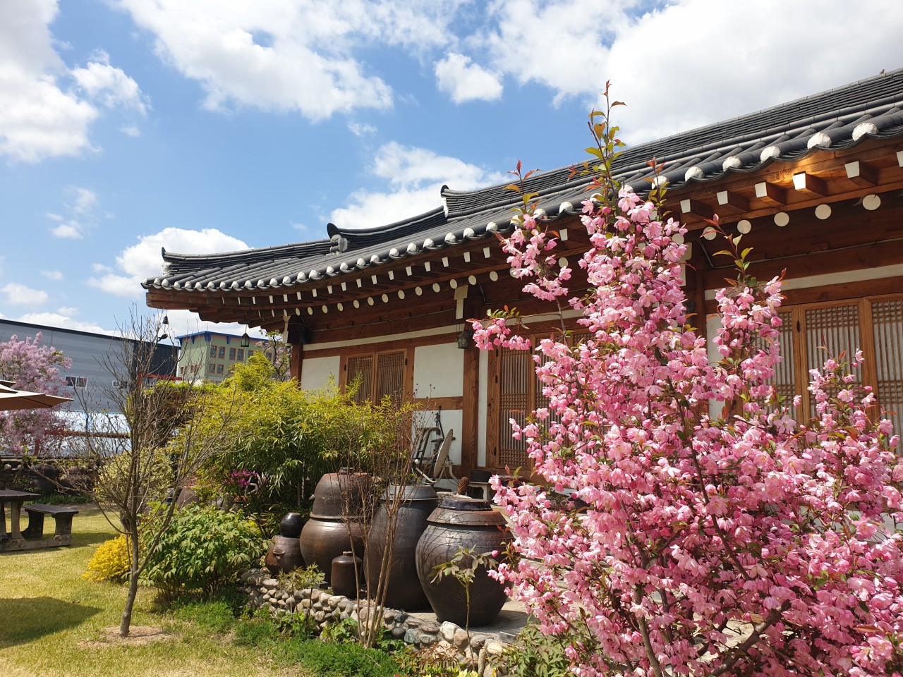 희원 이미지 3