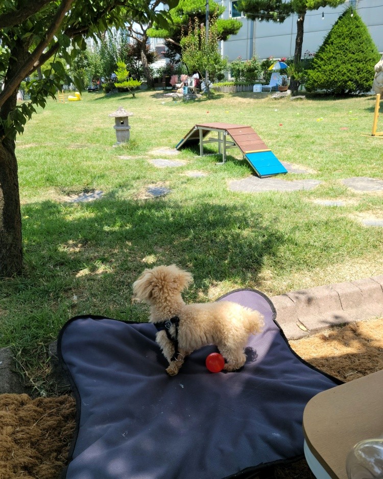 카페아스타나 이미지 4