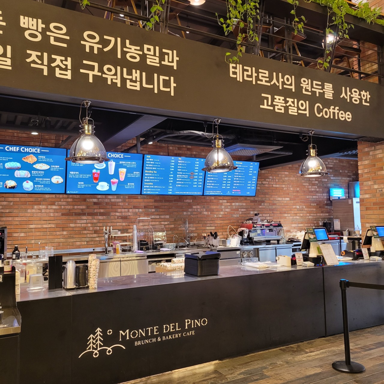 몬떼델피노 이미지 6