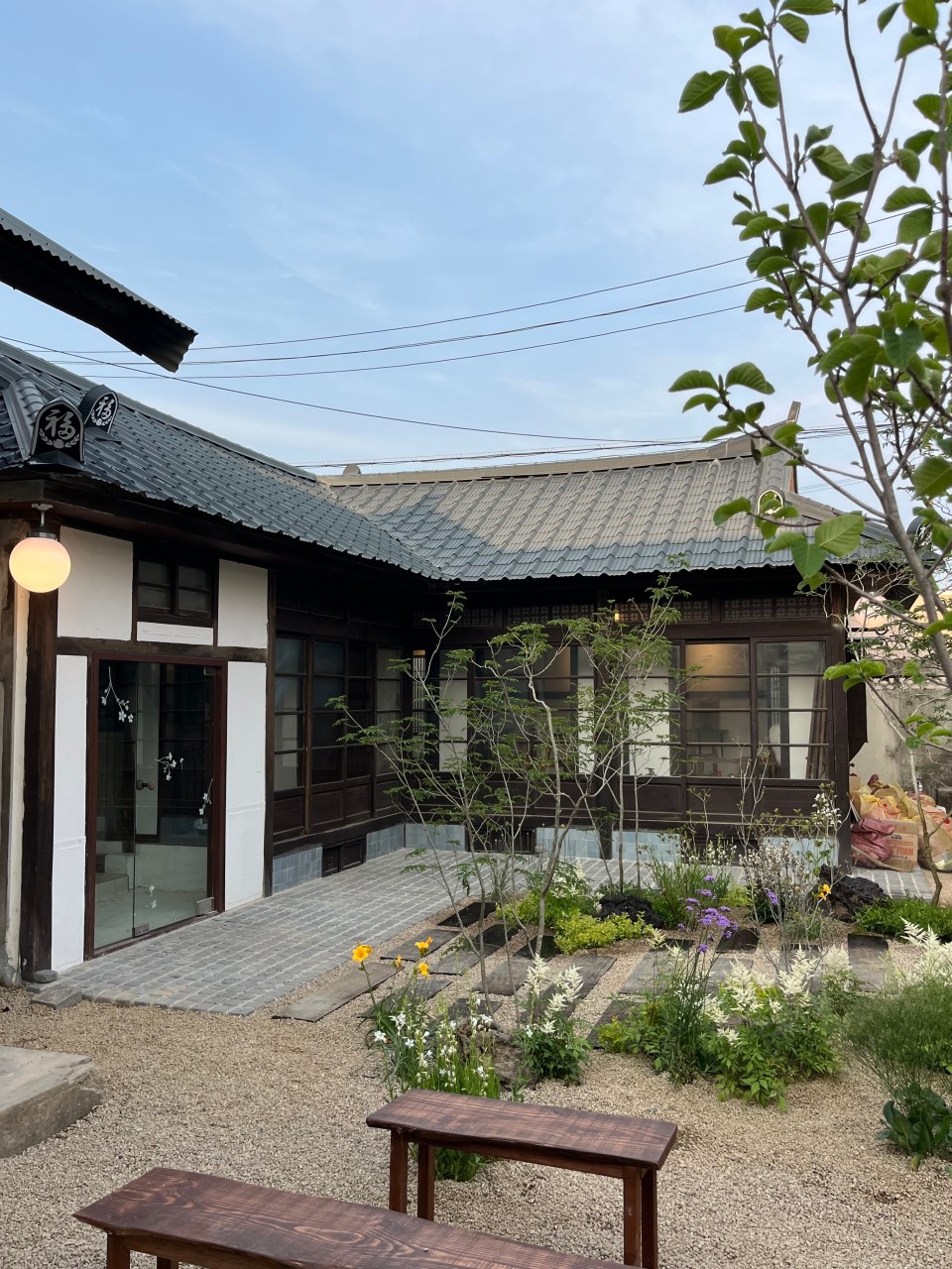 연화 이미지 2