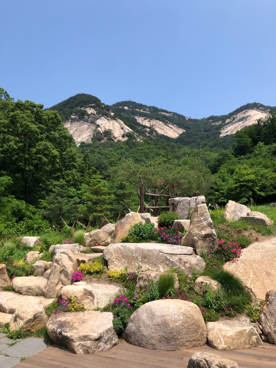 카페포레스트 이미지 2