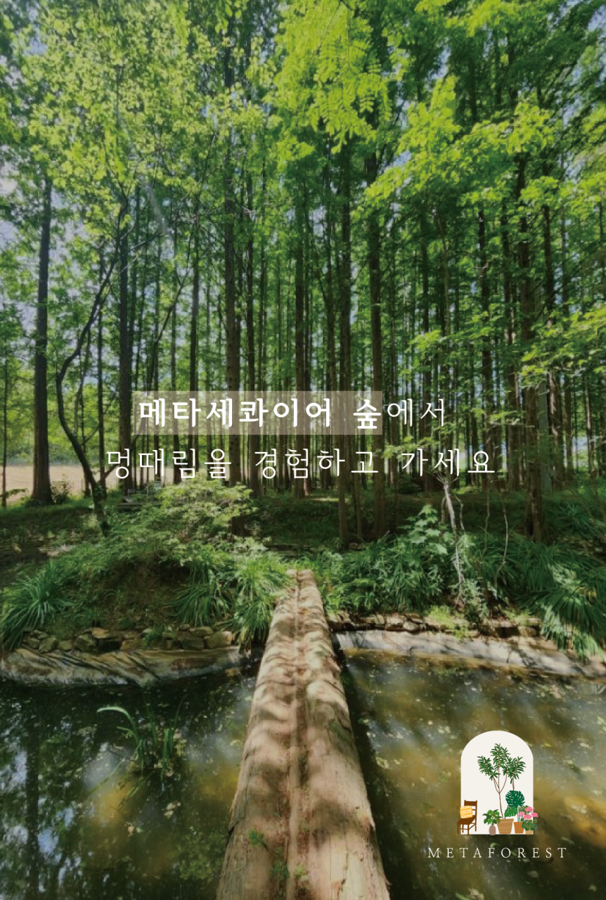 메타포레스트 이미지 1