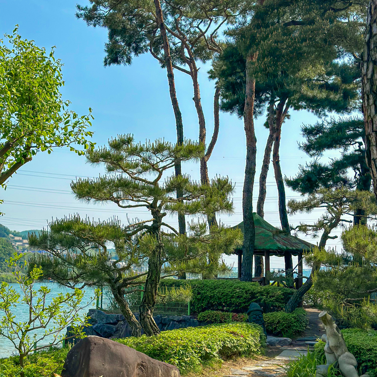 일피노 이미지 6