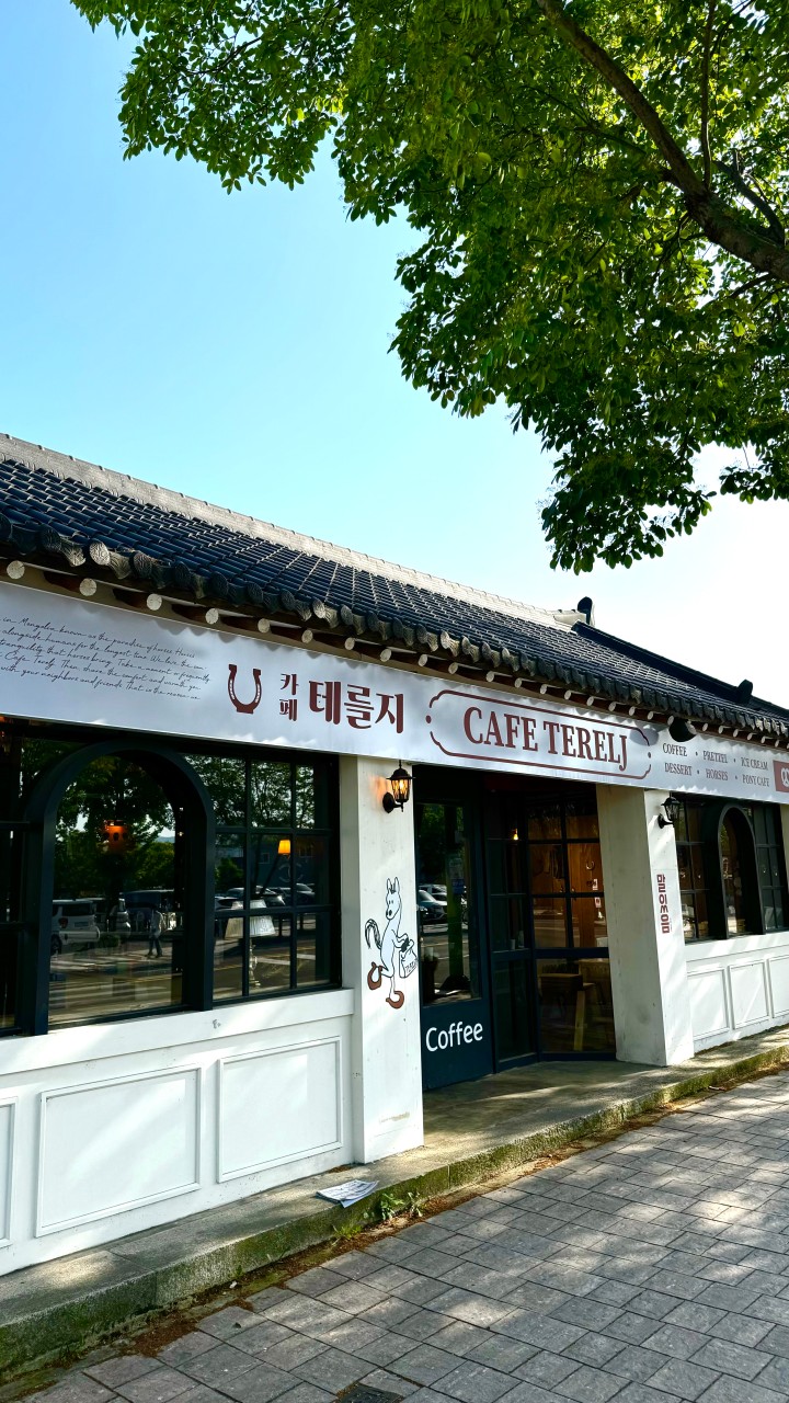 테를지 이미지 3