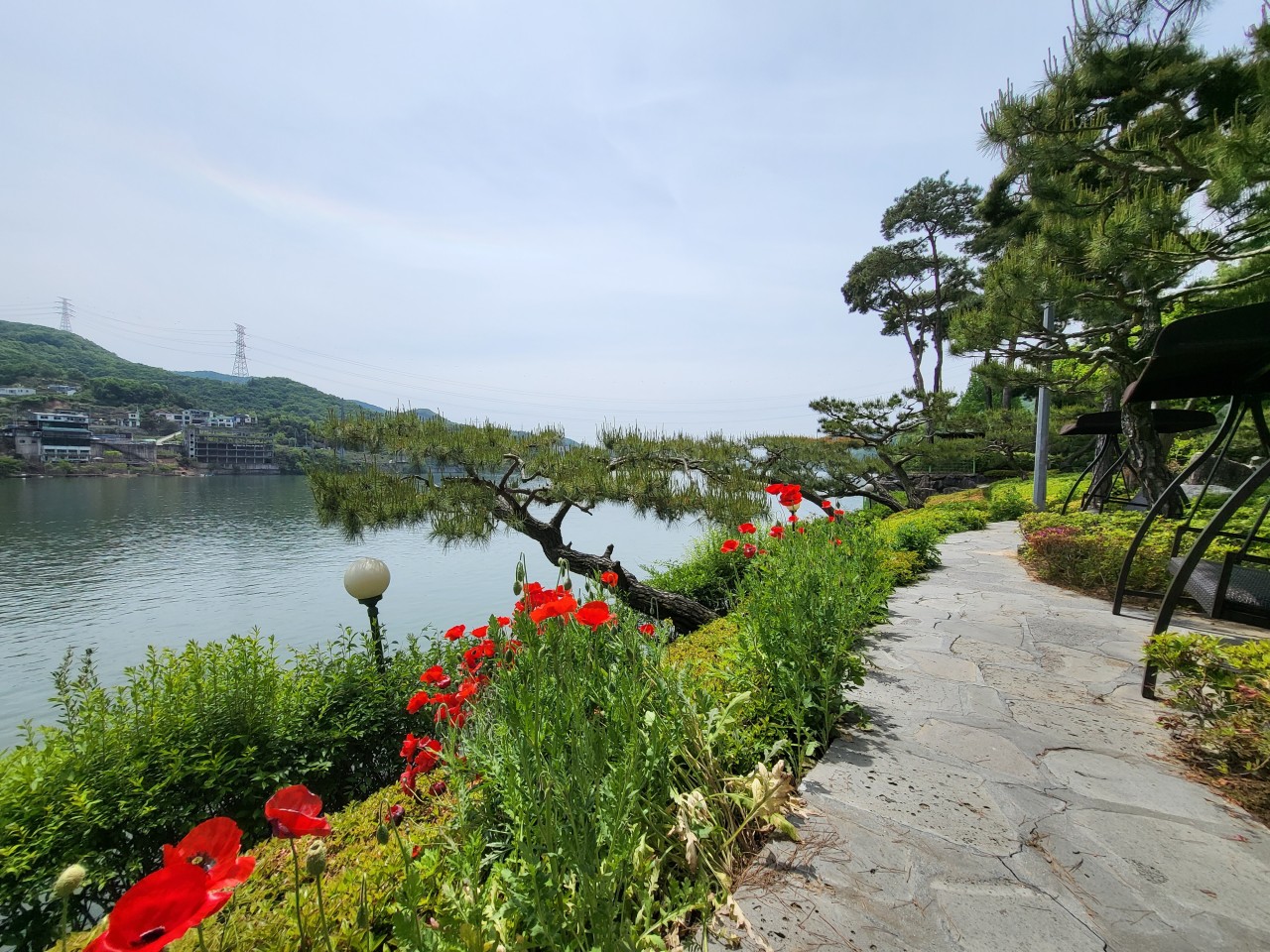 일피노 이미지 8