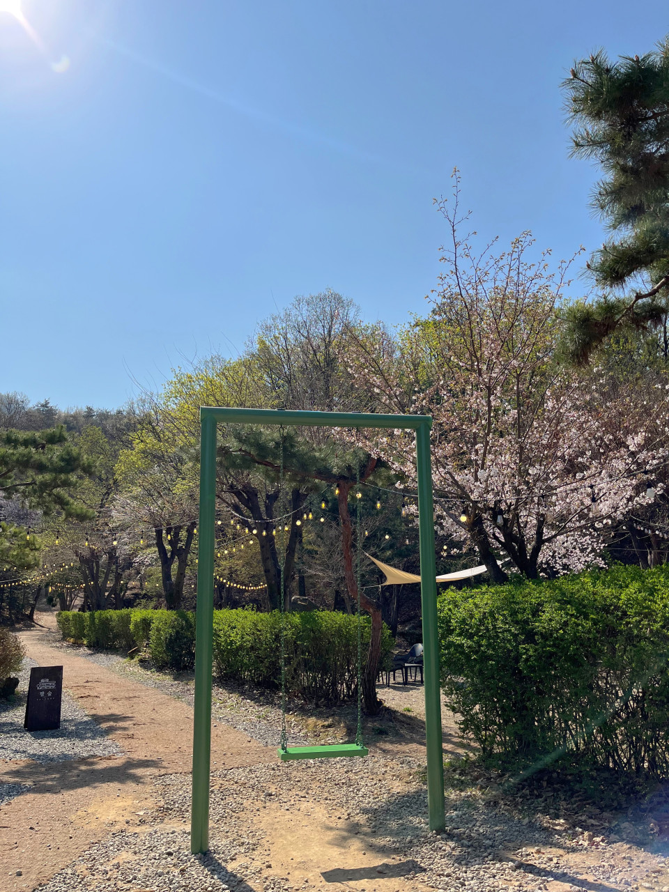 팔숲 이미지 4