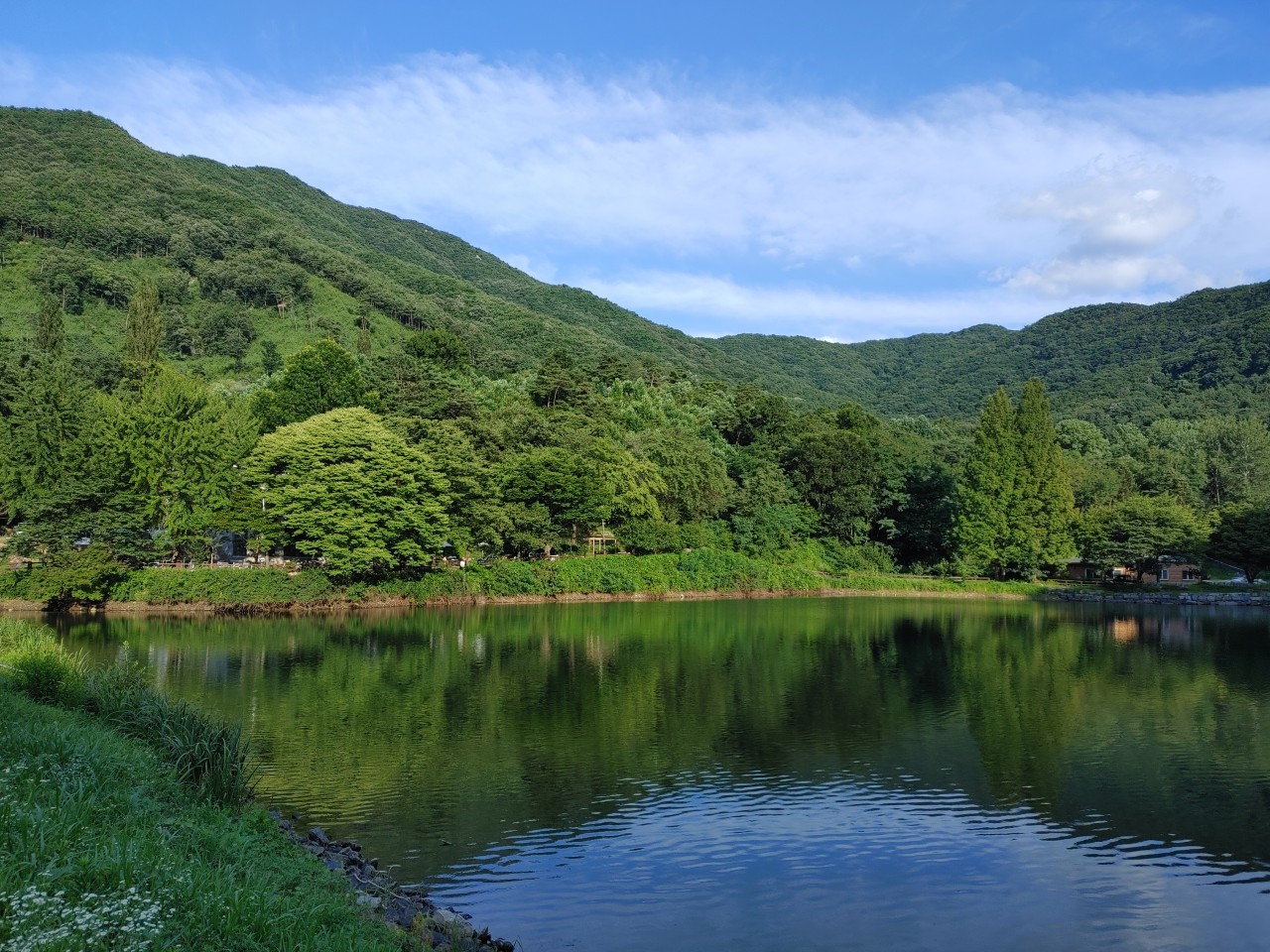 엔학고레 이미지 1