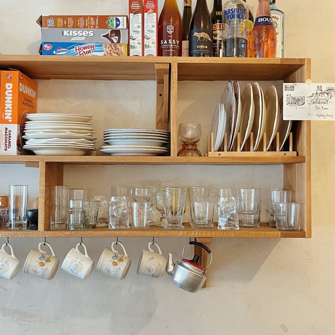 세이지핀치 이미지 7