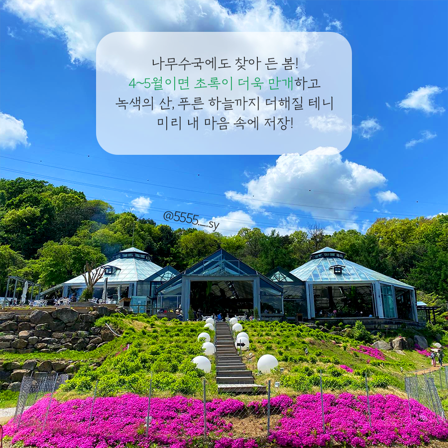 비루개 이미지 2