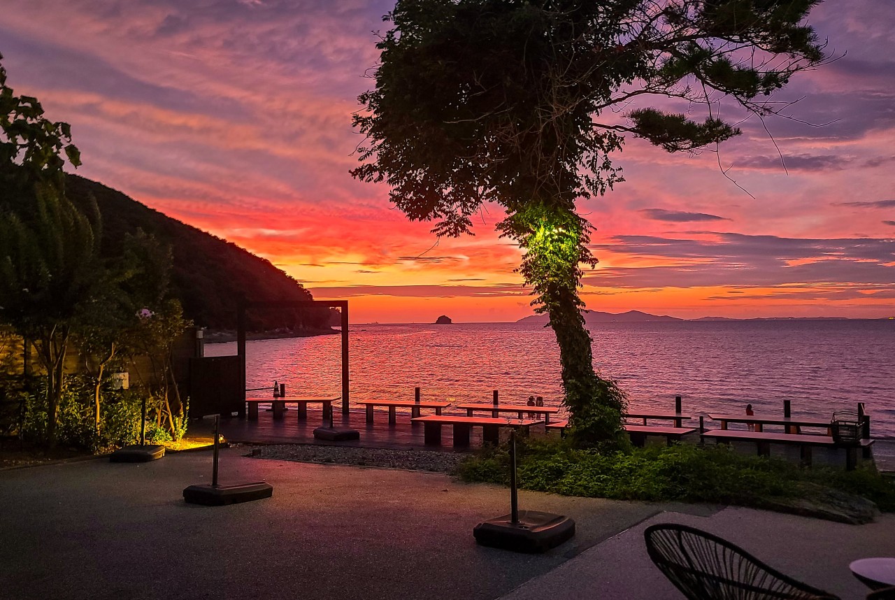 엔틸로프 이미지 2