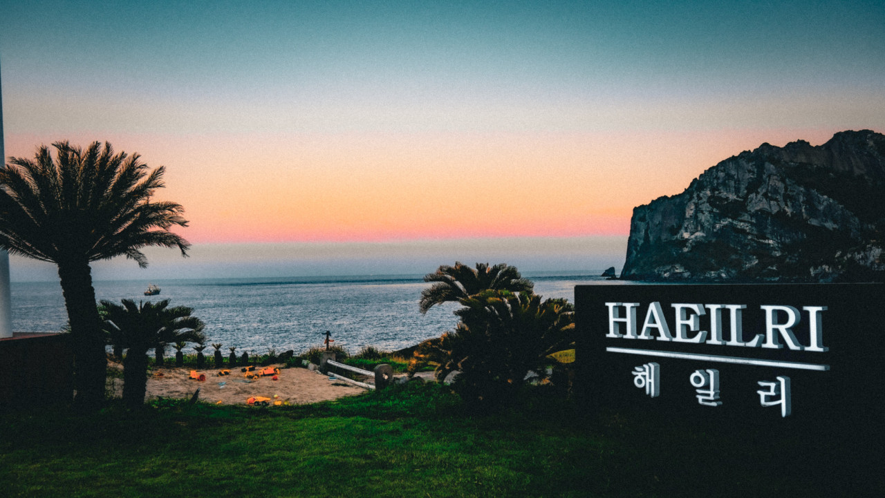 해일리 카페 이미지 6