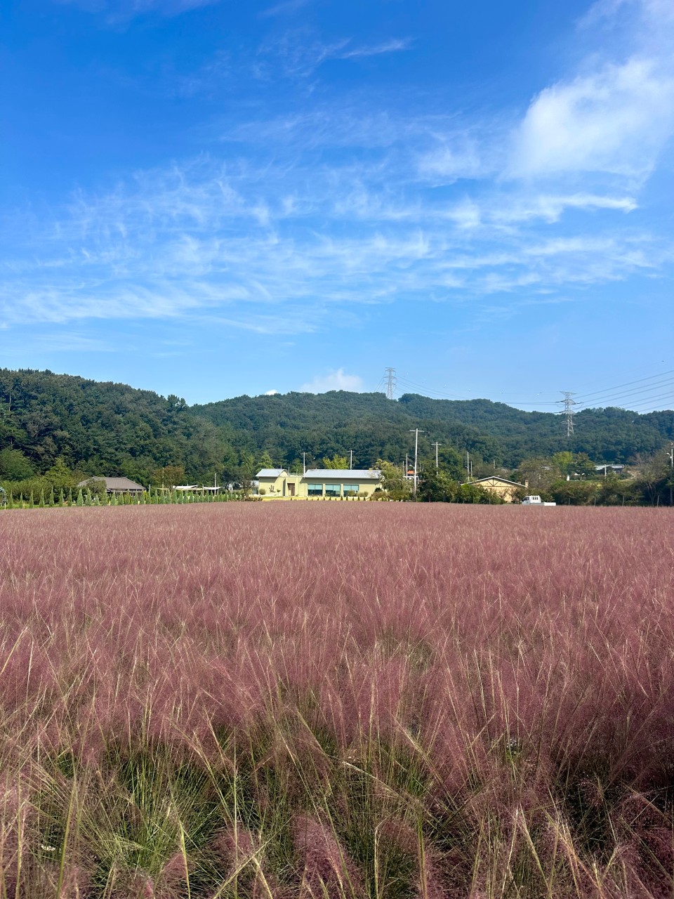 카페지새울 이미지 1