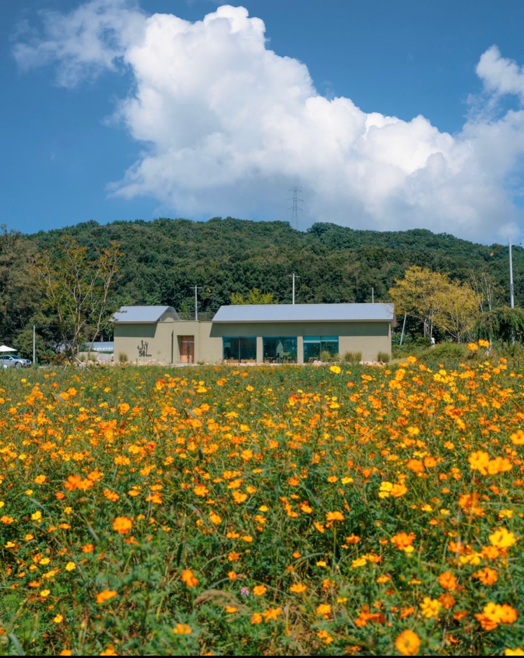 카페지새울 이미지 3