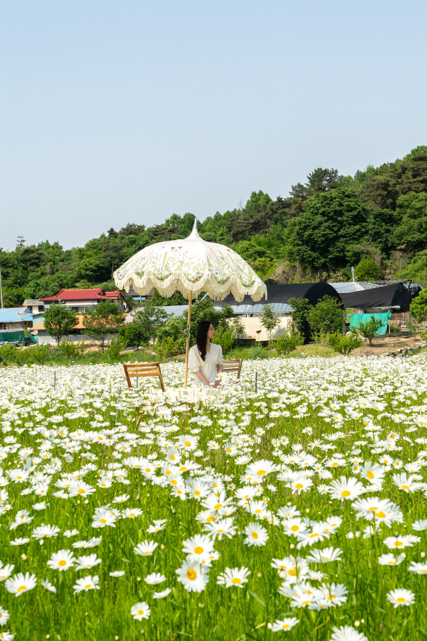 카페지새울 이미지 2