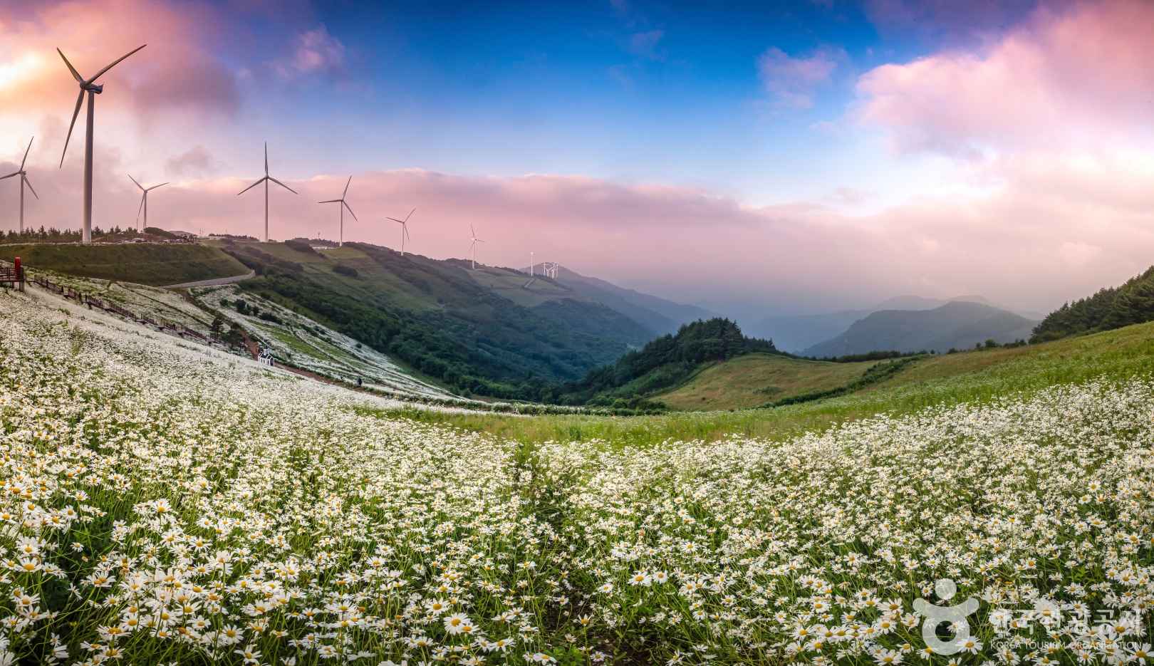 평창 육백마지기 무료차박 이미지 1