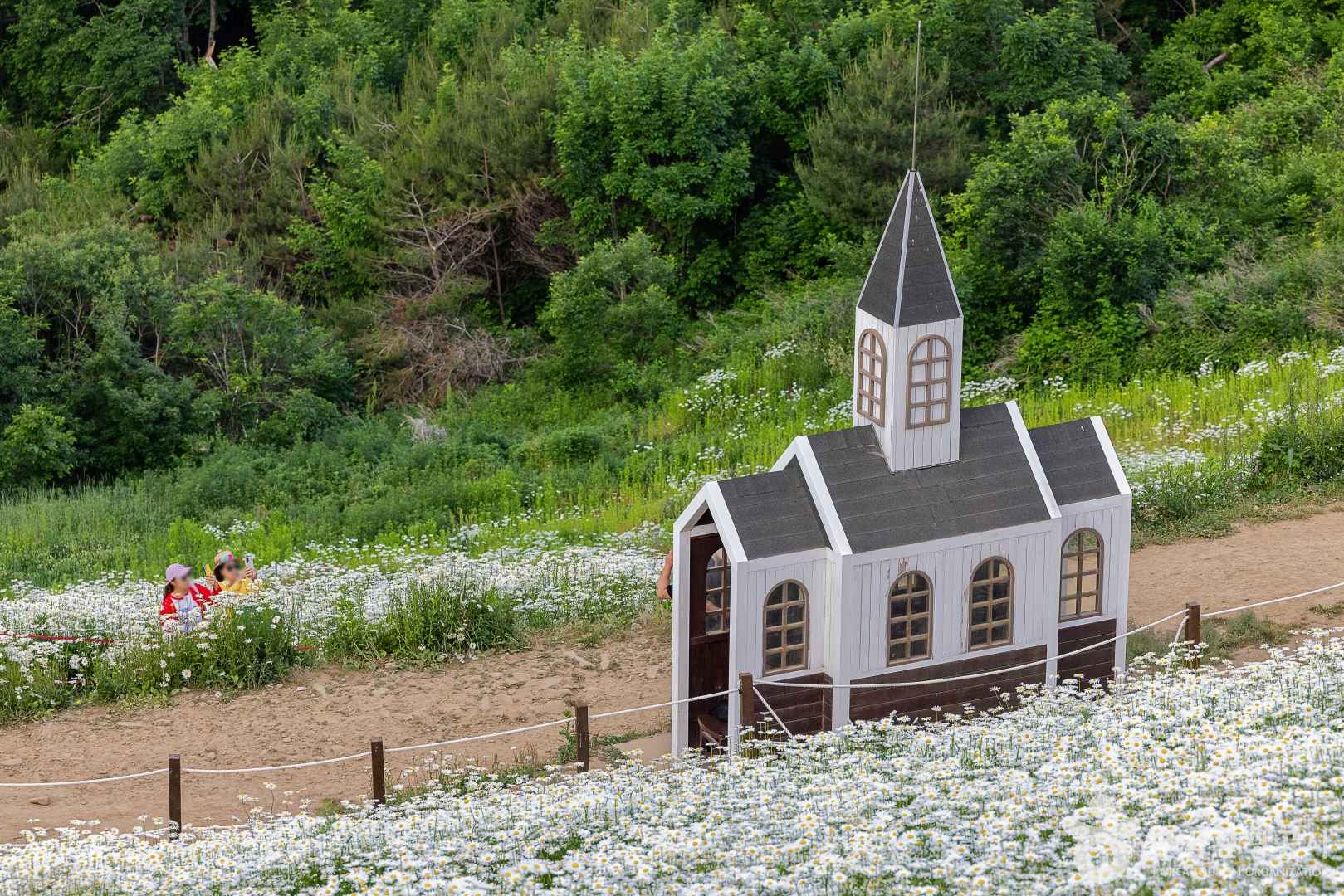 평창 육백마지기 무료차박 이미지 8