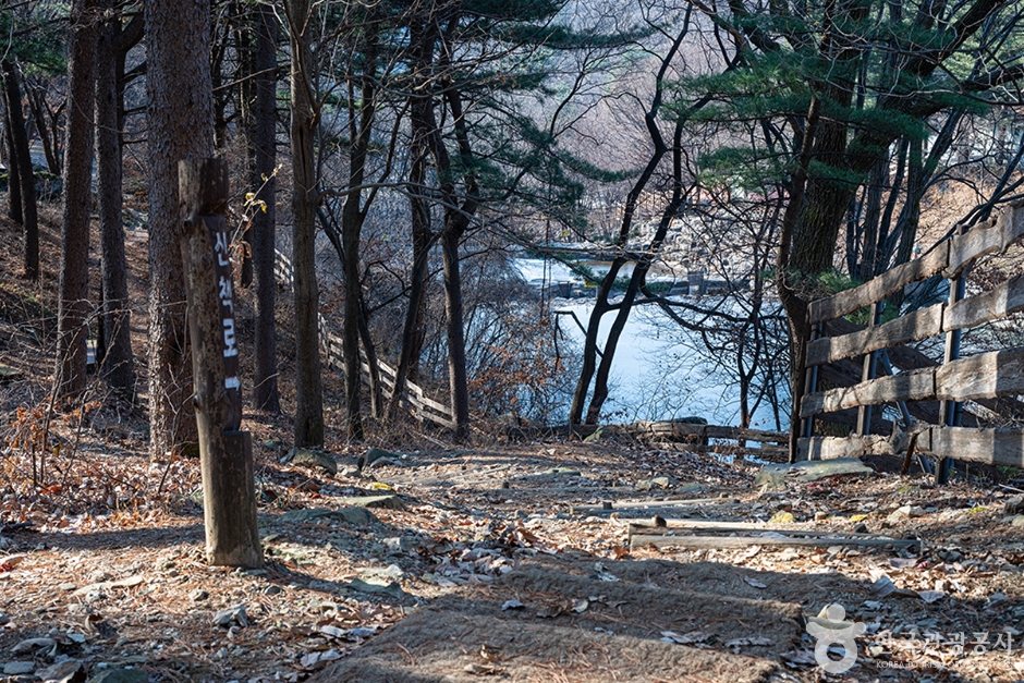 남양주 축령산자연휴양림 이미지 7