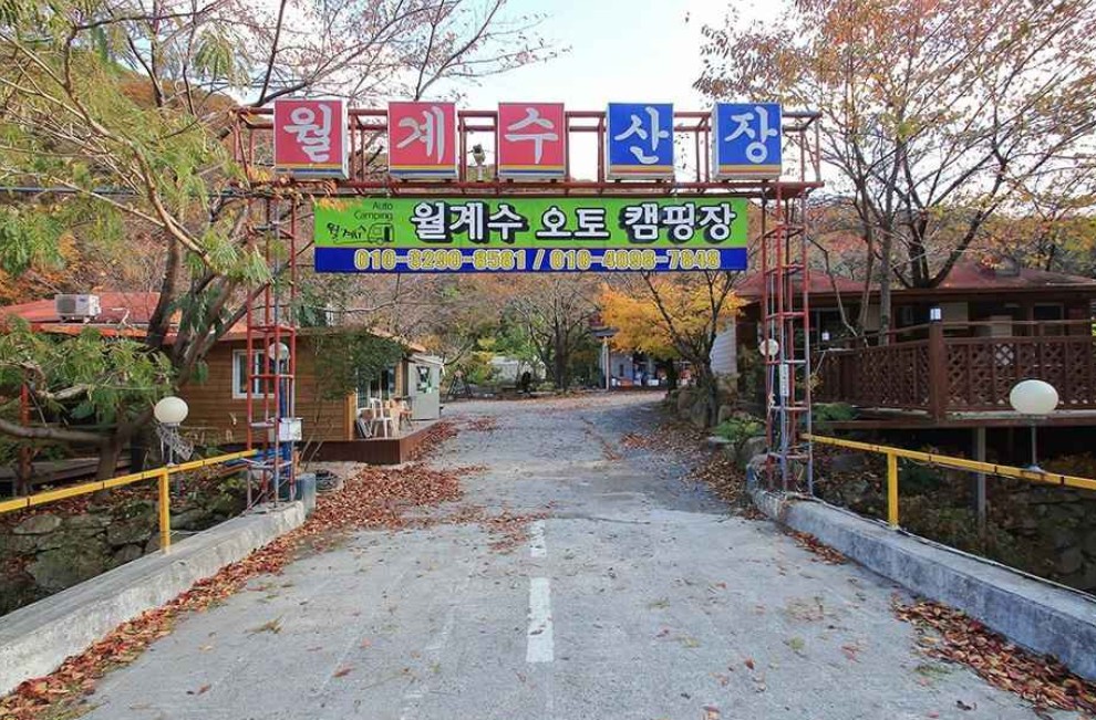 경주 월계수오토캠핑 이미지 2