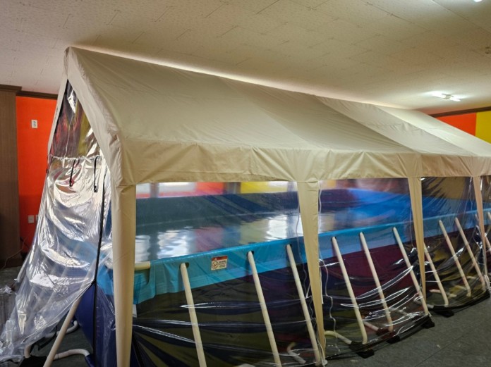 경주 트리팜캠프 이미지 5