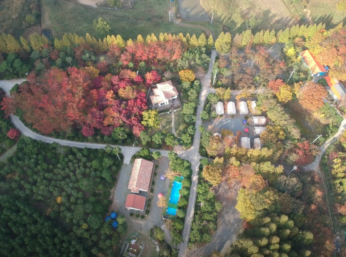 노꼬담꼬 이미지 1