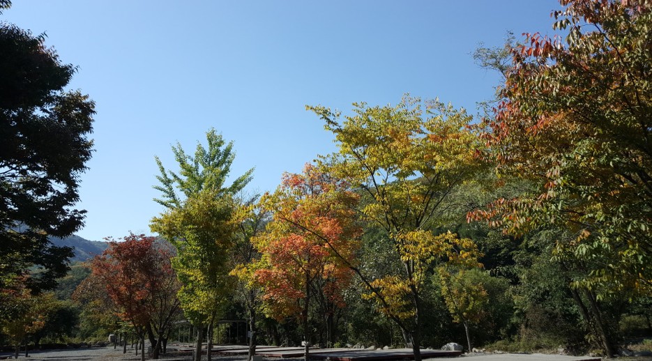 포천 뉴힐링캠핑장 이미지 1