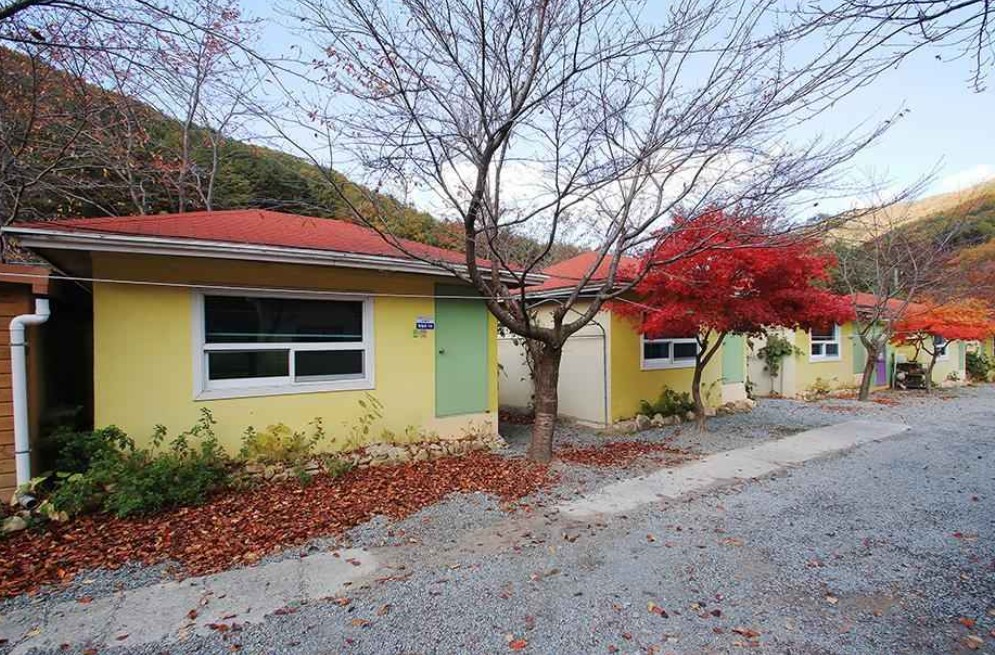 경주 월계수오토캠핑 이미지 3