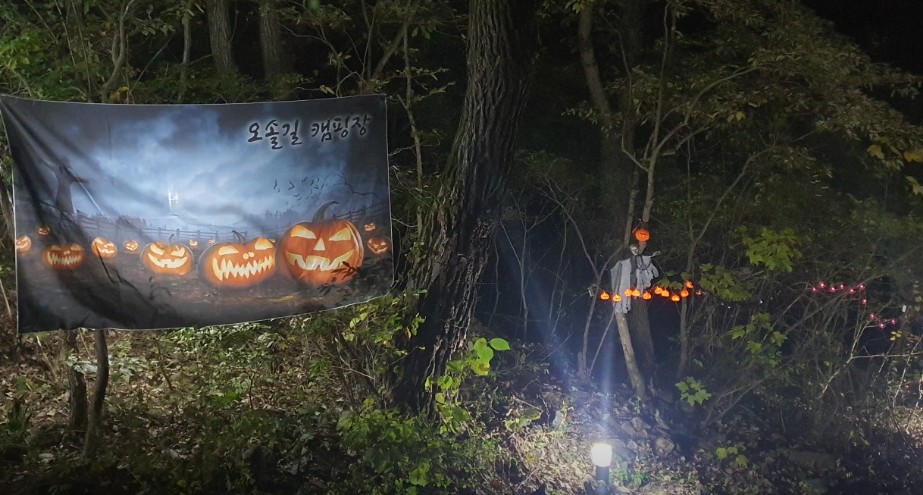 오솔길오토캠핑장 이미지 5