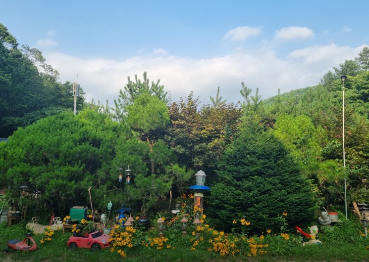에코밸리오토캠핑장 이미지 5