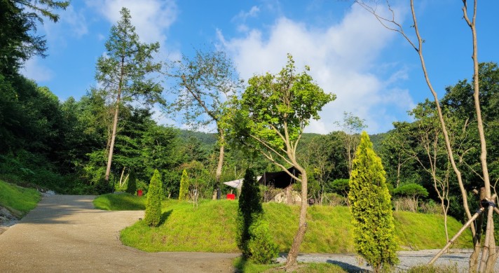 우니메이카 춘천점 이미지 5