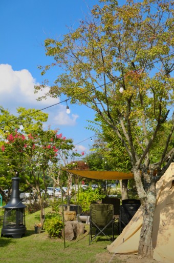 대구 라운드힐905 이미지 4