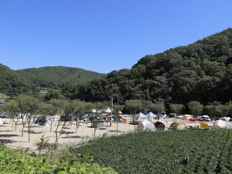 산내캠핑일기 이미지 1