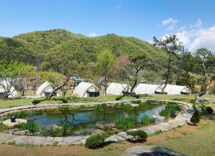 세종 다온숲 캠핑장 이미지 6