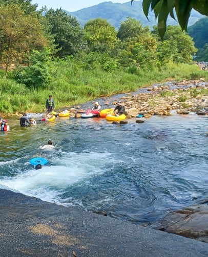 영월 상우농장캠핑장 이미지 2