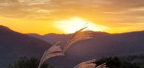 스테이700 이미지 5