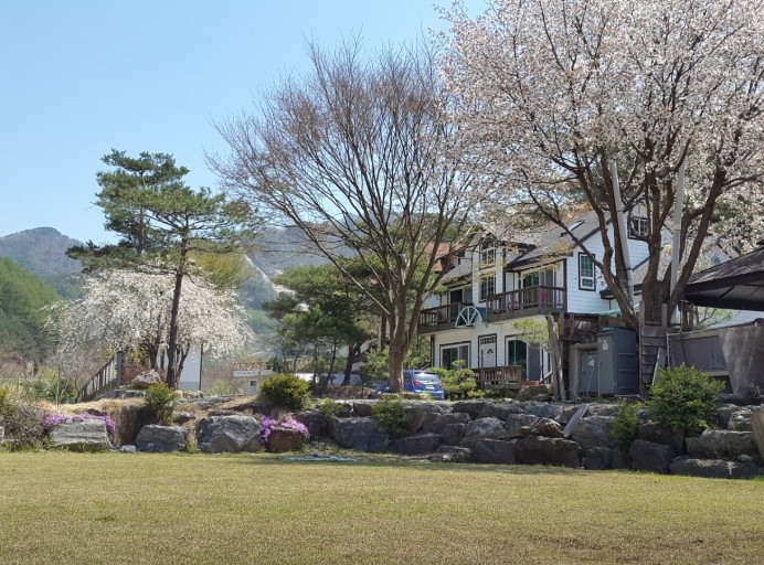 영월 뜨란솔 캠핑장 이미지 2