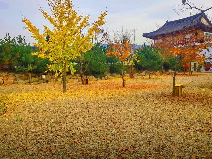경주초우오토캠핑장 이미지 1